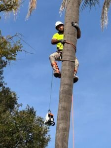 29b6780f 6f10 4930 9611 5460bc298cad