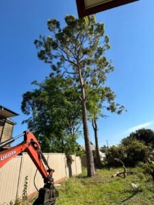 3e1e2f02 007a 4a02 b75b 20abfeeef3fb