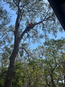 45baa3b8 f5d3 423c bd1e 95222365fb0a