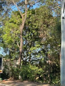 4cfb527b c325 49ab b4a9 b3f3b1bc5fe4