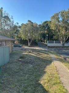 56defe87 2494 471f 971c 042a5b72404b