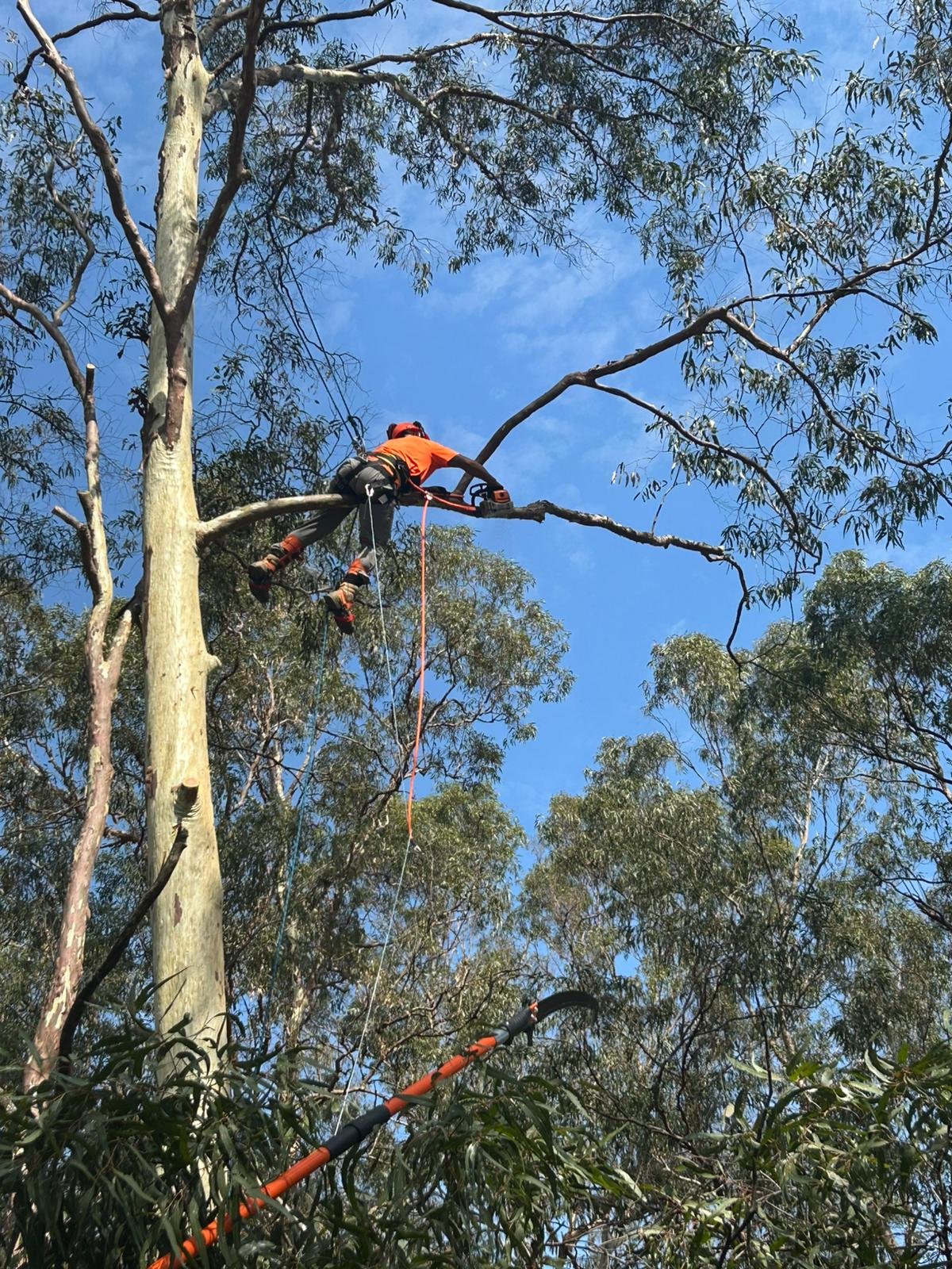 858a832f 1e41 4b5c 87f0 fc6bb75502f8