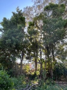 98371ab9 1c12 4686 9dd8 abc9564f5cb4