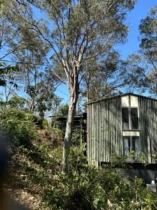 d62760c9 28d4 41d2 a1ab 1cf360698226