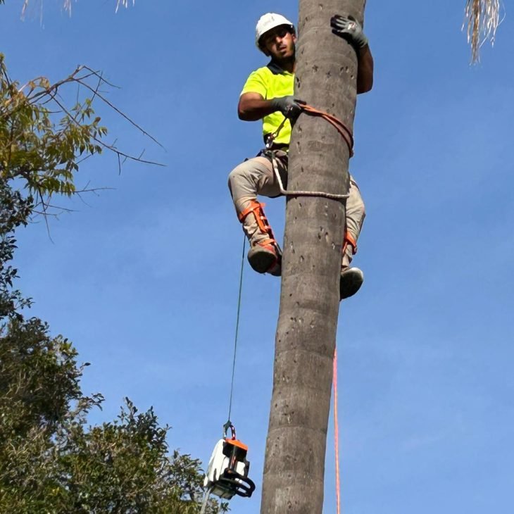 29b6780f 6f10 4930 9611 5460bc298cad